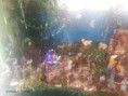 /album/belen-de-cuca/a243759-2824397945084-1903918532-o-jpg/